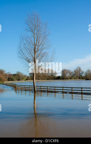 Le inondazioni nel novembre 2012 a Ouse Valley Park, Milton Keynes, Buckinghamshire, UK. Foto Stock