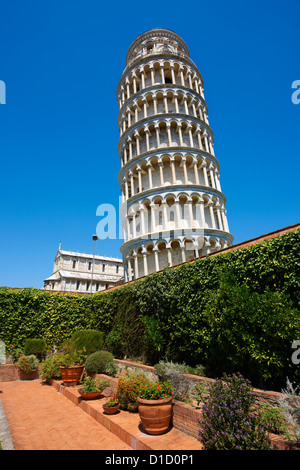 La Torre Pendente di Pisa, Italia contro un cielo blu Foto Stock