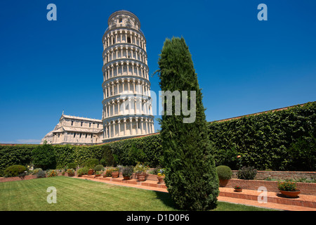 La Torre Pendente di Pisa, Italia contro un cielo blu Foto Stock