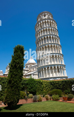 La Torre Pendente di Pisa, Italia contro un cielo blu Foto Stock