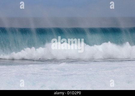 Canna onde oceaniche di schiantarsi a riva, Banzai Pipeline, North Shore Oahu Hawaii Foto Stock