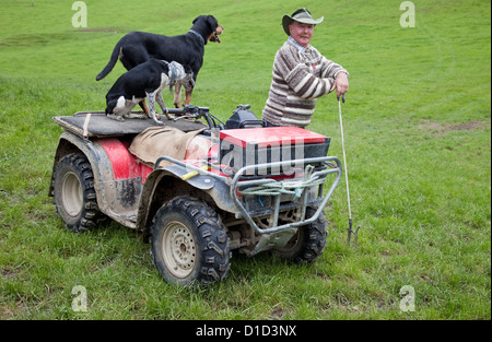 Un Musterer (Pastore) con i cani di pecore e "quad-bike' vicino a Masterton, Wairarapa regione, Isola del nord, Nuova Zelanda. Foto Stock