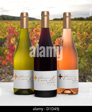 Saint Pourçain bottiglie di vino (bianco, rosso e rosa del 'Croix d'O' immobile). Bouteilles de vin de St Pourçain. Foto Stock