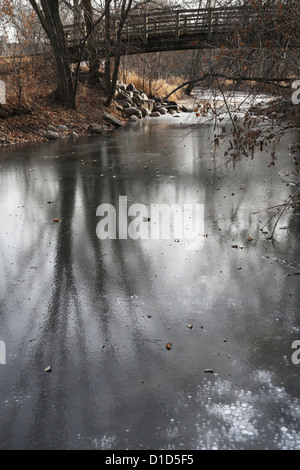 Riflessi di alberi su un gelido creek a Minneapolis. Foto Stock