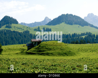 Il Col des muschi,canton de Vaud,swiss Foto Stock