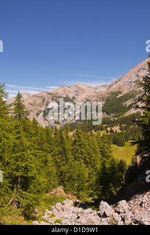 Le Alpi del Sud nel Parc national du Mercantour vicino a Allos. Foto Stock