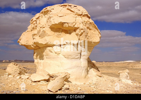 Il vento e il sole calcari modellato sculture nel deserto bianco Foto Stock