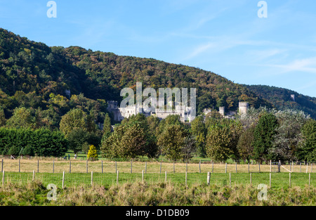 Castello di Gwrych Foto Stock