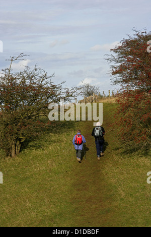 NT ammassarsi fattoria sul Cotswold modo Foto Stock