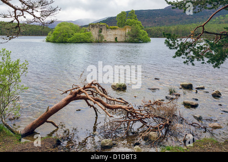 Il castello nel centro del Loch Eilein Foto Stock