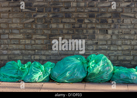 Green sacchi per i rifiuti alimentato da Hounslow consiglio e riempito con foglie di autunno allineati pronti per la raccolta Foto Stock