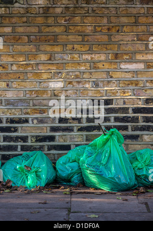 Green sacchi per i rifiuti alimentato da Hounslow consiglio e riempito con foglie di autunno allineati pronti per la raccolta Foto Stock