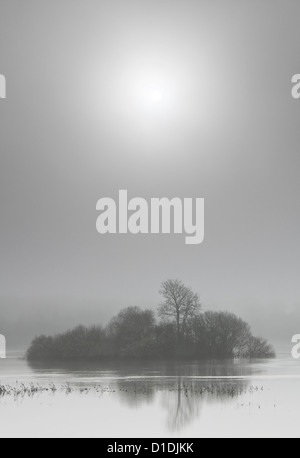 Lough Owel, Co. Westmeath nella nebbia Foto Stock