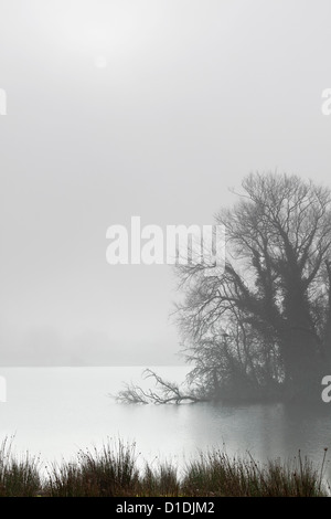 Lough Owel, Co. Westmeath nella nebbia Foto Stock