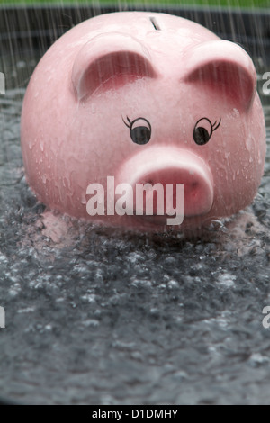 Rosa salvadanaio bagnarsi in caso di pioggia Foto Stock