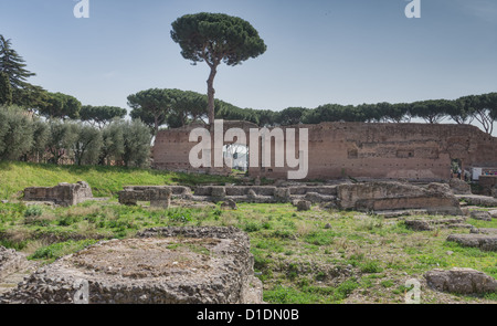 Il Colle Palatino rovine, Roma, Italia Foto Stock