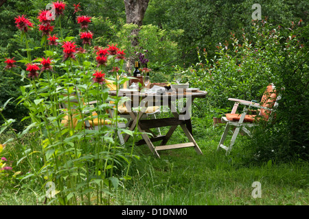 Pranzo in un giardino privato , Monarda Cambridge Scarlet Foto Stock