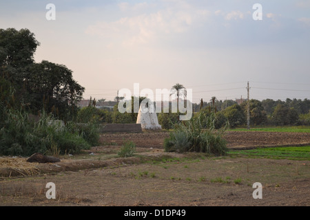 Una vista attraverso i campi da un villaggio egiziano nel Delta del Nilo. Le due strutture bianche sono pigeon culle. Foto Stock
