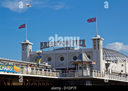 Il Brighton Pier dalla spiaggia. Foto Stock