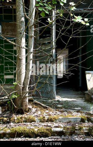 Disastro di Chernobyl risultati. Si tratta di un entrata nella scuola abbandonata nella piccola città di pripjat Foto Stock