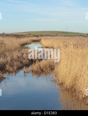 Discarica a Rainham,Essex Foto Stock