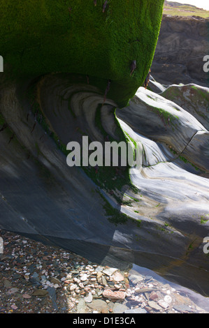 Le formazioni rocciose sulla spiaggia di Ayrmer Cove, Devon, Regno Unito Foto Stock