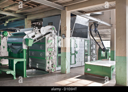 Glenburn Tea Factory, vicino a Darjeeling, West Bengal, India, Asia Foto Stock