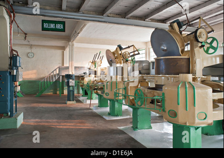 Glenburn Tea Factory, vicino a Darjeeling, West Bengal, India, Asia Foto Stock