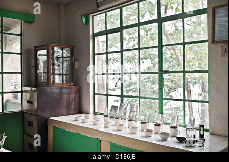 Glenburn Tea Factory, vicino a Darjeeling, West Bengal, India, Asia Foto Stock