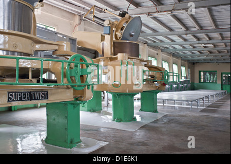 Glenburn Tea Factory, vicino a Darjeeling, West Bengal, India, Asia Foto Stock