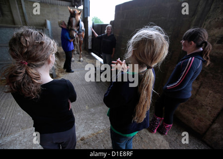 Tre ragazze eccitato i bambini, guardando il cavallo in maneggio, Suffolk, Regno Unito. Foto Stock