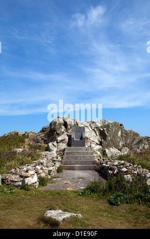 Egli trono dedicato alla Madre del Principe delle isole Saltee, sul grande Saltee al largo della costa di Co. Wexford, Irlanda. Foto Stock