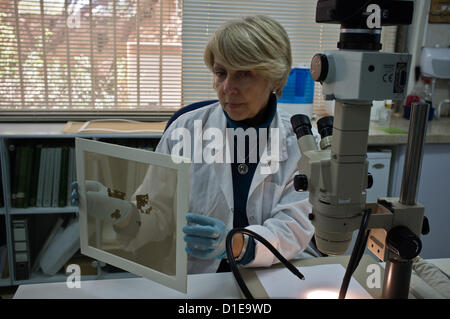 I tecnici al lavoro della conservazione e della conservazione di frammenti originali dei Rotoli del Mar Morto presso le Autorità di Antichità Israele labs presso il Museo di Israele. Gerusalemme, Israele. 18-Dec-2012. L'Autorità di Antichità Israele e Google Israele lanciare un sito web dotato di fotografie dei Rotoli del Mar Morto, il più riconosciuto, santo, manoscritti biblici scritta duemila anni fa, compresi i Dieci Comandamenti e il capitolo 1 del Libro della Genesi. © Nir Alon / Alamy Live News Foto Stock