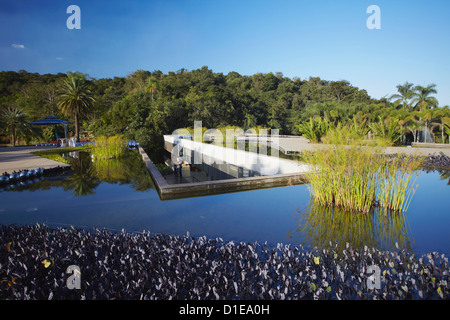 Arte moderna di Yayoi Kusama al Centro de Arte Contemporanea Inhotim, Brumadinho, Belo Horizonte, Minas Gerais, Brasile Foto Stock