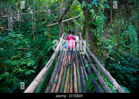 Ponte di bambù nell'interiore che conduce alla grotta del Millennio, Isola di Espiritu Santo, Vanuatu, South Pacific Pacific