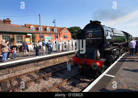 Classe Pacfic locomotiva a vapore Tornado visitando Sheringham sulla linea di papavero, North Norfolk Railway, Norfolk, Inghilterra Foto Stock