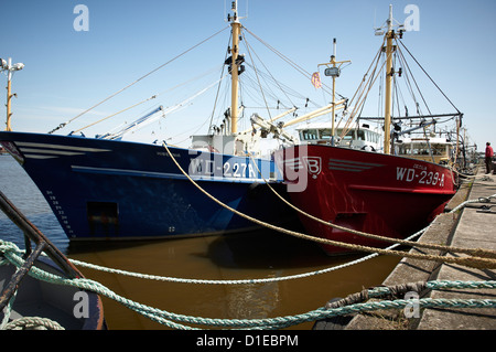 La flotta di pesca, Wexford, Leinster, Repubblica di Irlanda, Europa Foto Stock