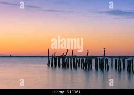 Sunrise sopra il vecchio jety in a Provincetown a nord di Cape Cod, Massachusetts Foto Stock