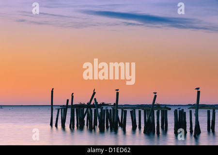 Sunrise sopra il vecchio jety in a Provincetown a nord di Cape Cod, Massachusetts Foto Stock