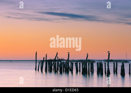 Sunrise sopra il vecchio jety in a Provincetown a nord di Cape Cod, Massachusetts Foto Stock