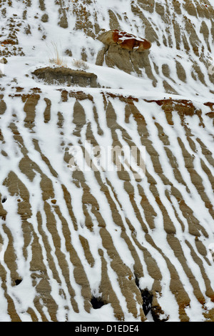 Erosi bentonite pendenza con neve fresca, Theodore Roosevelt NP (Sud), il Dakota del Nord, STATI UNITI D'AMERICA Foto Stock