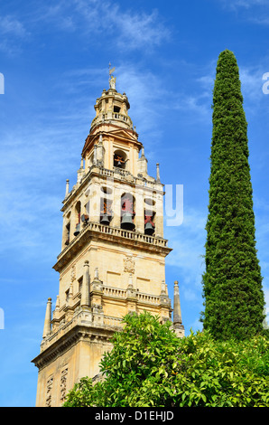 Il campanile della cattedrale di Cordoba Foto Stock