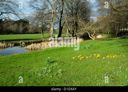 Canale alimentatore, Bute Park, Cardiff, Galles del Sud. Foto Stock