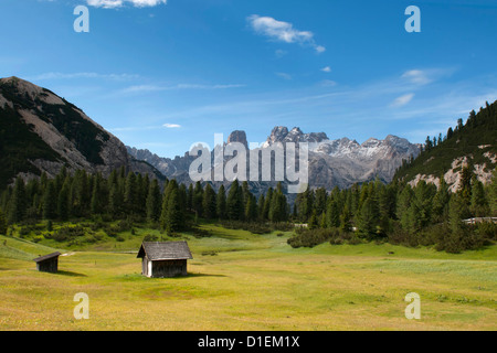 Plaetzwiese, Fanes-Sennes-Braies parco naturale, Alto Adige, Italia Foto Stock