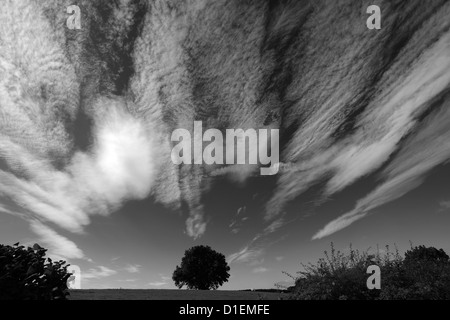 Bianco e nero immagine panoramica, vista orizzontale su Cotherstone Moor, Superiore Teesdale, Contea di Durham, Inghilterra, Regno Unito Foto Stock