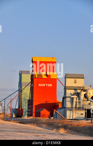 Tradizionale elevatori della granella, Nanton, Alberta, Canada Foto Stock