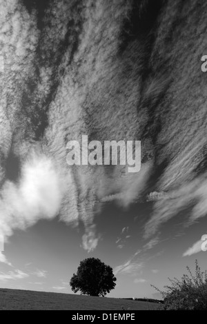 Bianco e nero immagine panoramica, vista orizzontale su Cotherstone Moor, Superiore Teesdale, Contea di Durham, Inghilterra, Regno Unito Foto Stock