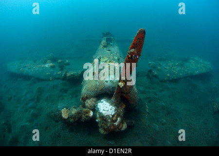 Relitto di un zero giapponese fighter piano in Kimbe Bay, Papua Nuova Guinea Foto Stock