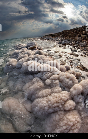 Sale formazioni di cristallo nel Mar Morto, Israele Foto Stock