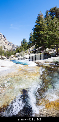 Ruscello di montagna nella valle della Restonica, Corsica, Francia Foto Stock